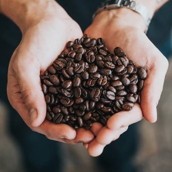Coffee Bean