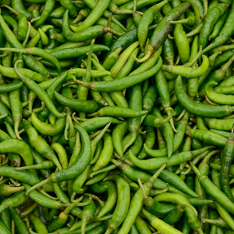 Green Chili
